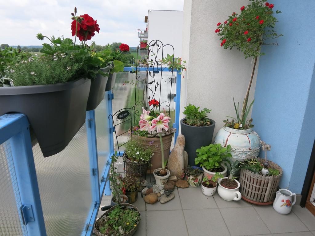 Homestay Poděbrady Exterior foto